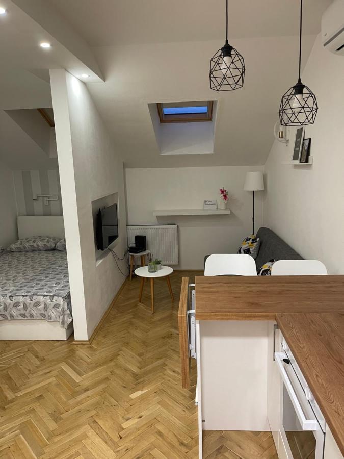 Stella Appartment Novi Sad Bagian luar foto
